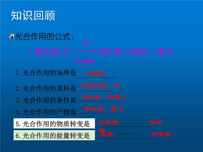 人教版七年级生物上册--第二节《绿色植物的呼吸作用》（精品课件）第2页