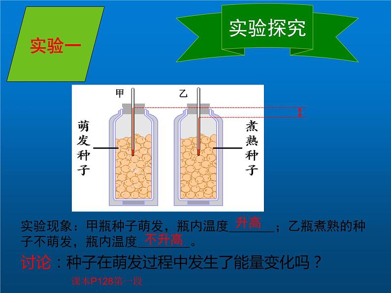 人教版七年级生物上册--第二节《绿色植物的呼吸作用》（精品课件）第8页