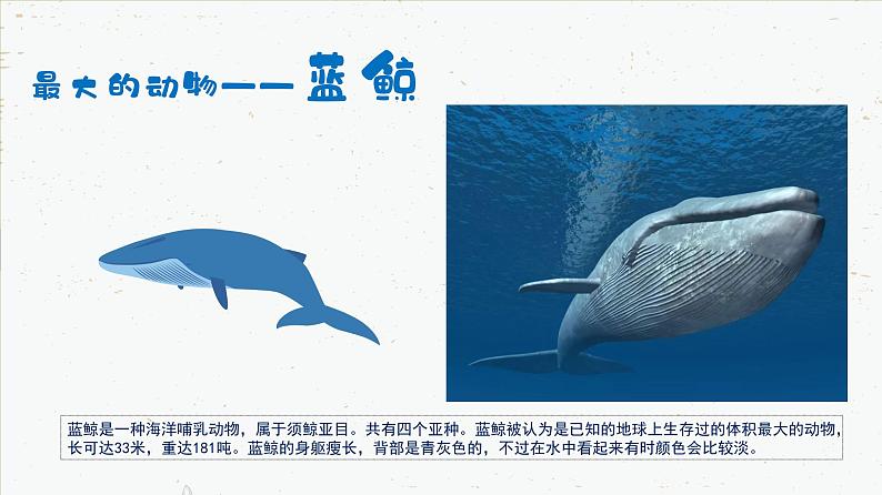 【开学第一课】初中生物八年级上学期--开学第一课 课件03