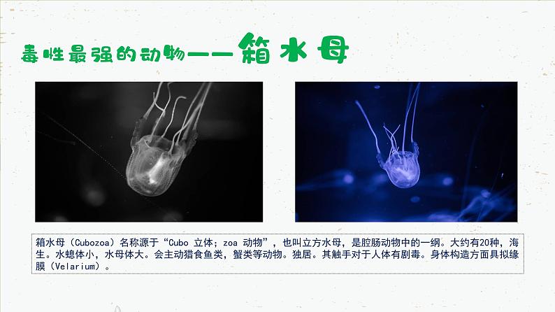 【开学第一课】初中生物八年级上学期--开学第一课 课件05