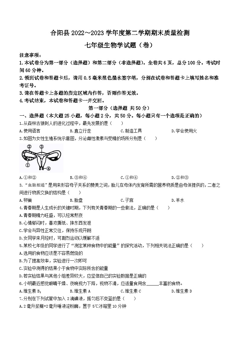 陕西省渭南市合阳县2022-2023学年七年级下学期期末生物试题(无答案)第1页