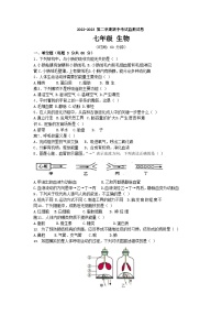 新疆叶城县伯西热克乡中学2022-2023学年七年级下学期期中考试生物试题(含答案)