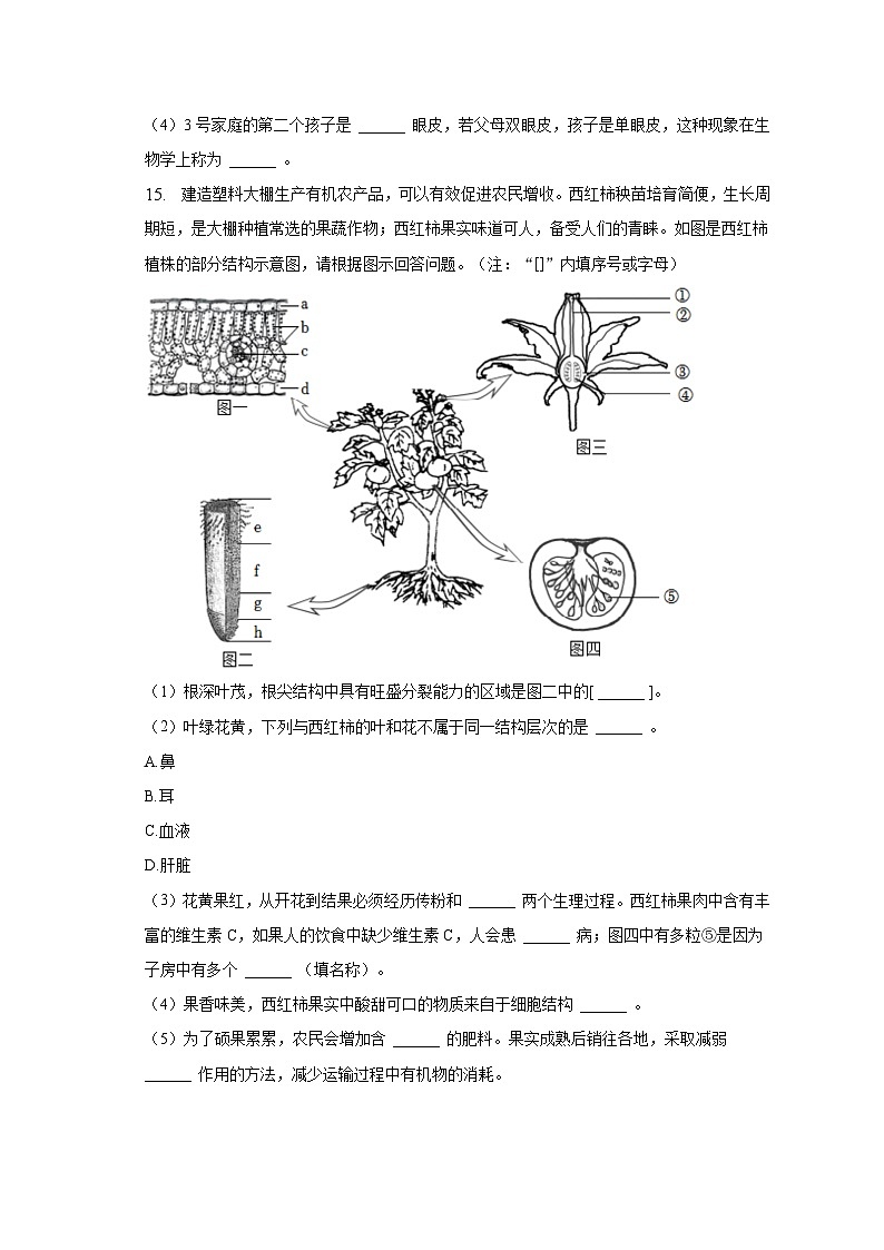 2022-2023学年辽宁省本溪市八年级（下）期中生物试卷（含解析）03