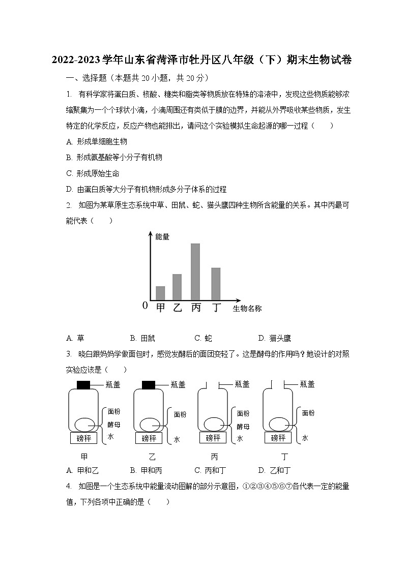 2022-2023学年山东省菏泽市牡丹区八年级（下）期末生物试卷（含解析）01