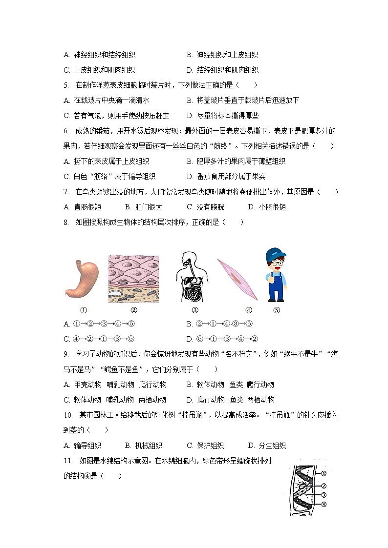 2022-2023学年江苏省泰州市高港区等2地七年级（下）期末生物试卷（含解析）02