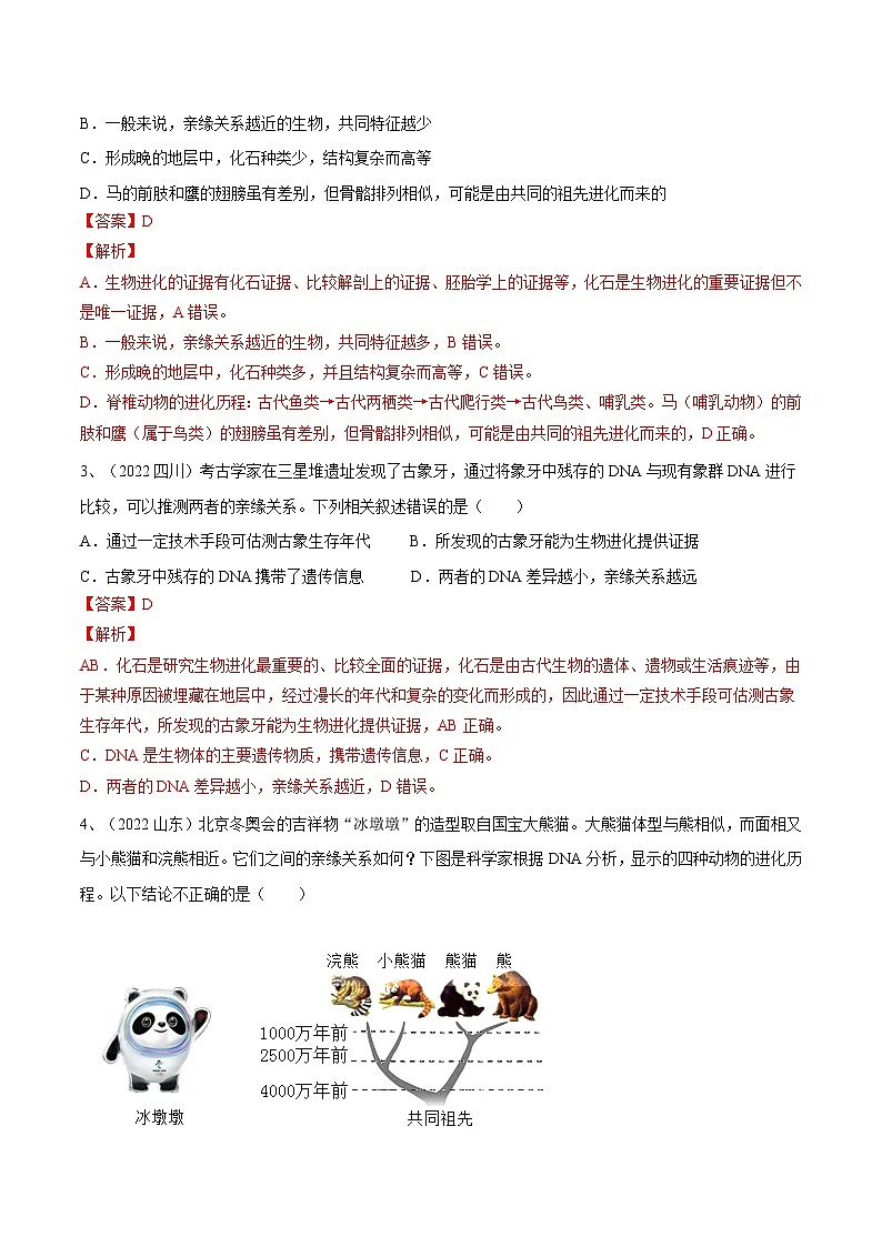 专题21 生命起源和生物进化（专题精练）-2023年中考生物一轮复习讲练测（解析版）第2页