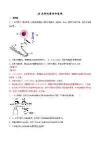 专题20 生物的遗传和变异（专题精练）-2023年中考生物一轮复习讲练测（解析版）