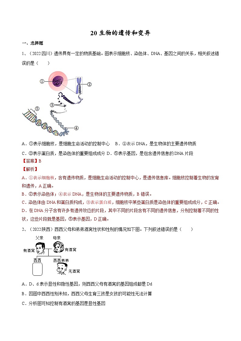 专题20 生物的遗传和变异（专题精练）-2023年中考生物一轮复习讲练测（解析版）第1页