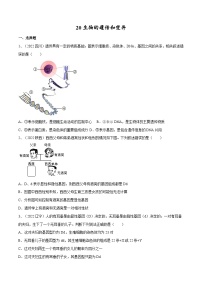 专题20 生物的遗传和变异（专题精练）-2023年中考生物一轮复习讲练测（原卷版）