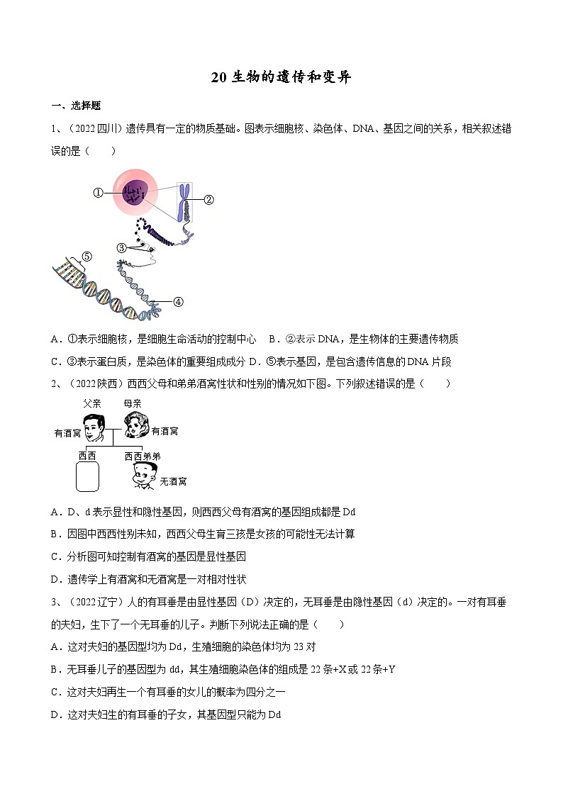 专题20 生物的遗传和变异（专题精练）-2023年中考生物一轮复习讲练测（原卷版）第1页