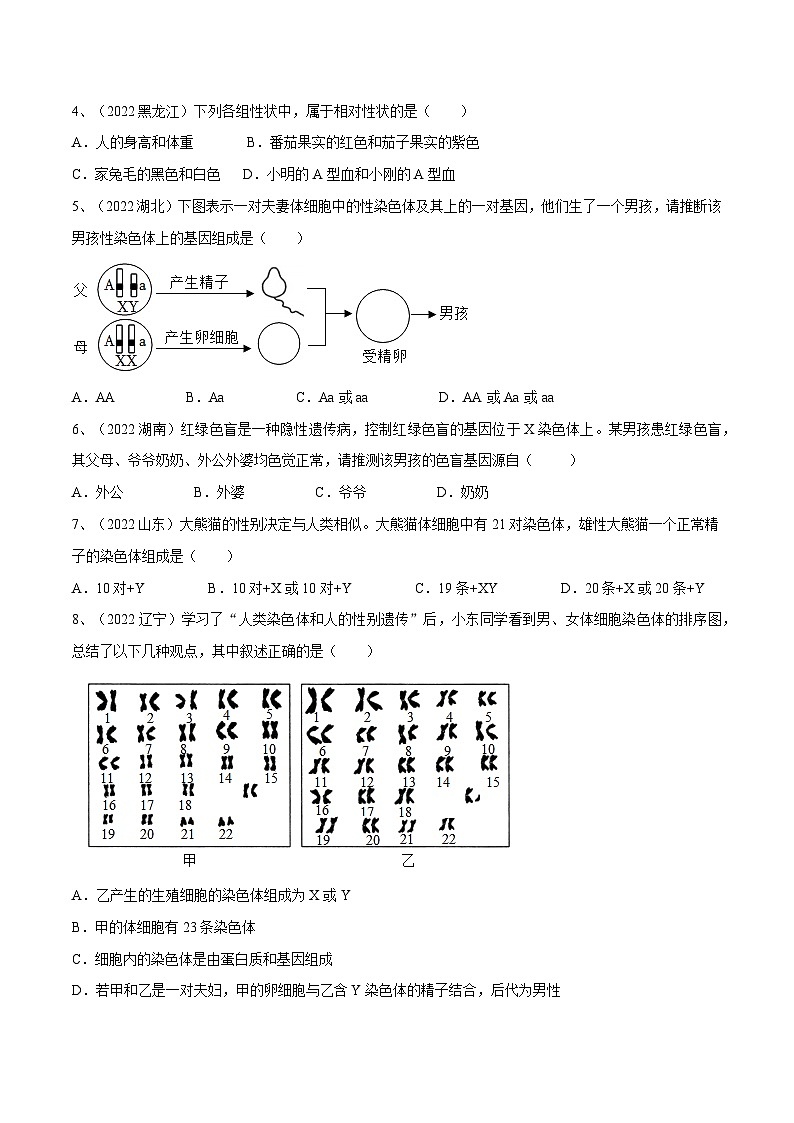 专题20 生物的遗传和变异（专题精练）-2023年中考生物一轮复习讲练测（原卷版）第2页