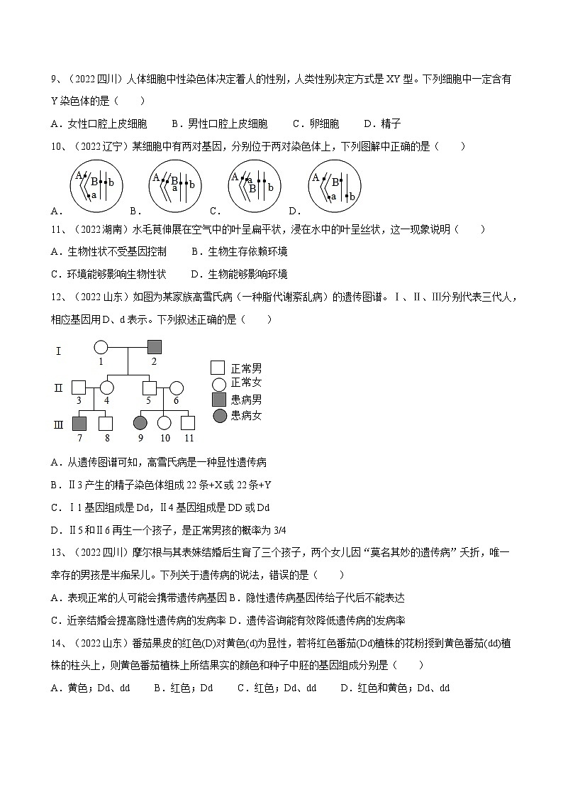 专题20 生物的遗传和变异（专题精练）-2023年中考生物一轮复习讲练测（原卷版）第3页