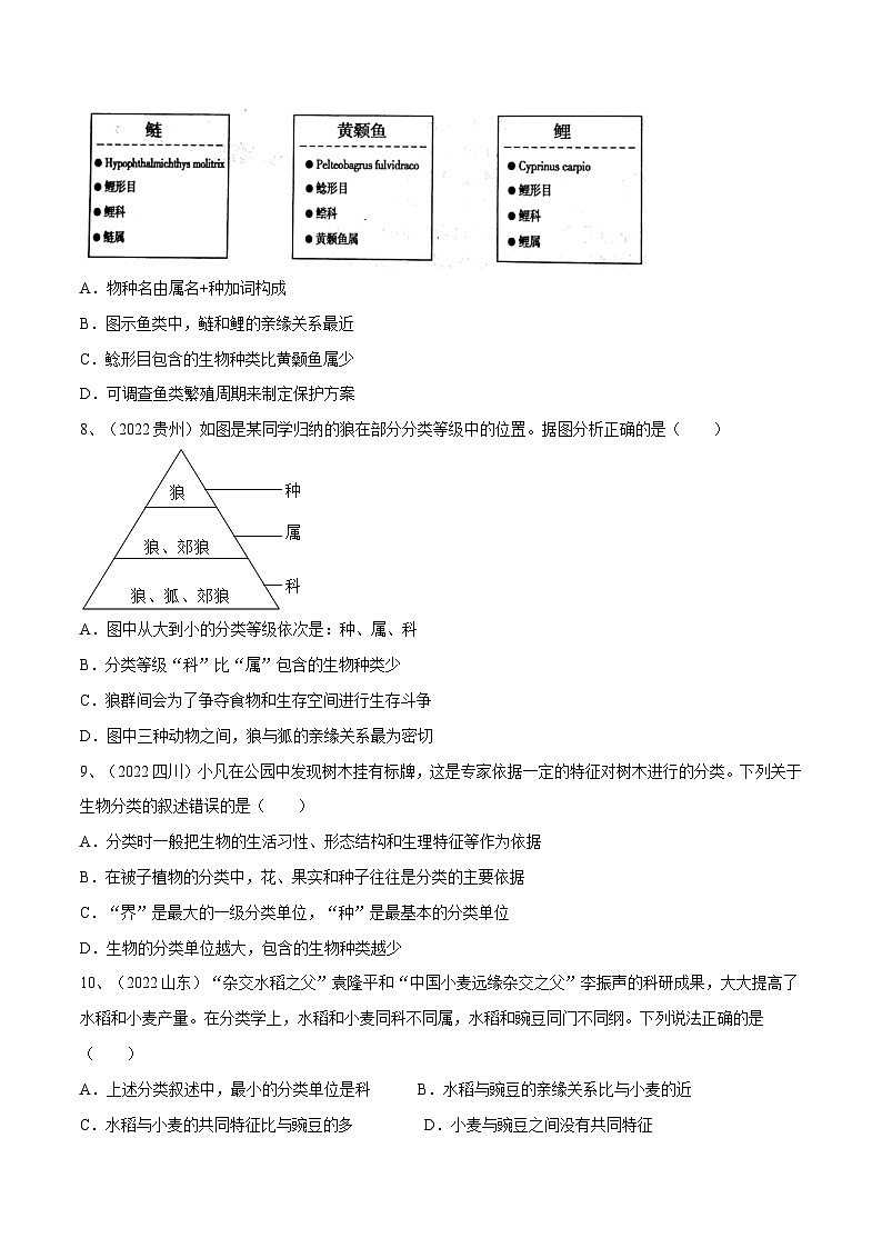 专题18 生物的多样性及其保护（专题精练）-2023年中考生物一轮复习讲练测（原卷版）第3页