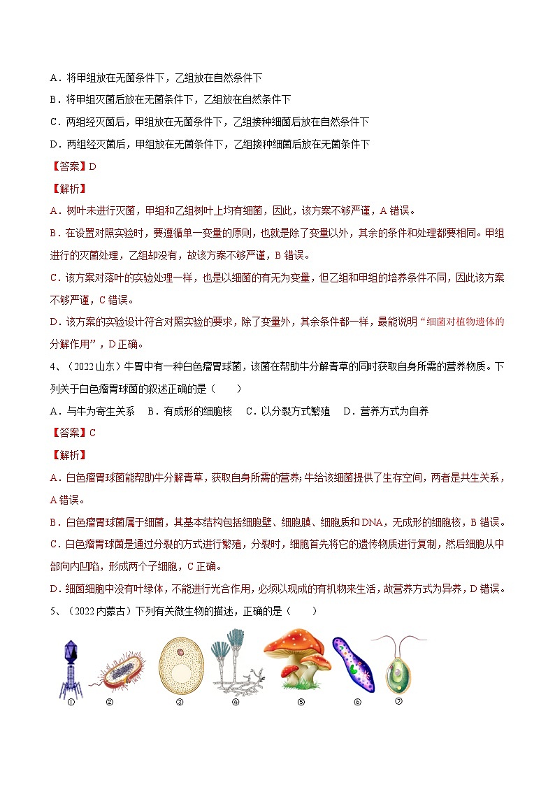 专题17 细菌、真菌和病毒（专题精练）-2023年中考生物一轮复习讲练测（解析版）第2页