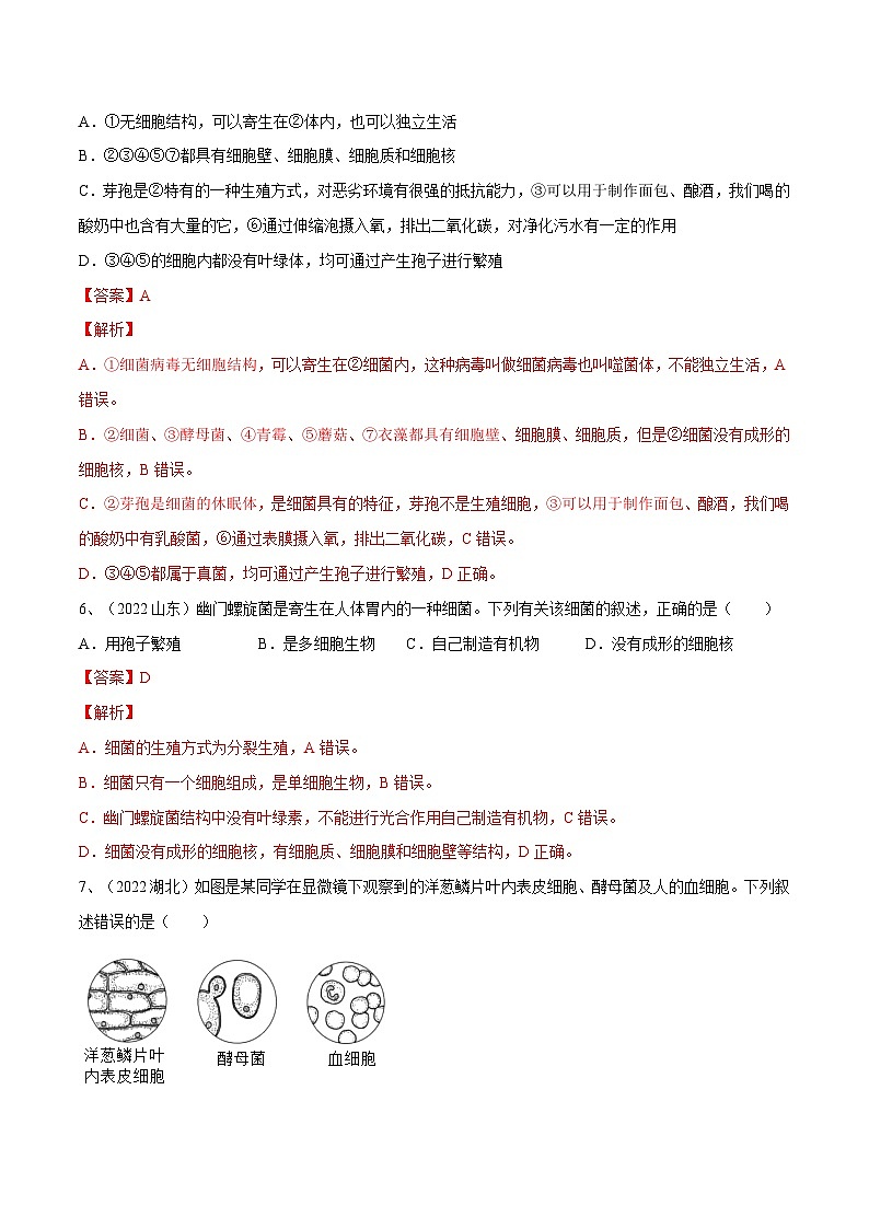 专题17 细菌、真菌和病毒（专题精练）-2023年中考生物一轮复习讲练测（解析版）第3页