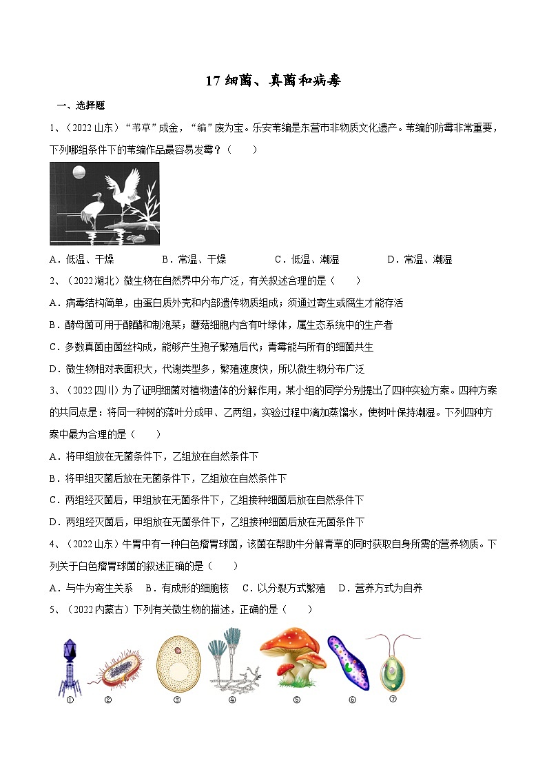 专题17 细菌、真菌和病毒（专题精练）-2023年中考生物一轮复习讲练测（原卷版）第1页