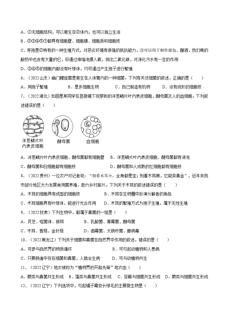 专题17 细菌、真菌和病毒（专题精练）-2023年中考生物一轮复习讲练测（原卷版）第2页