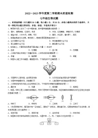 江西省吉安市吉安县2022-2023学年七年级下学期期末生物试题（含答案）