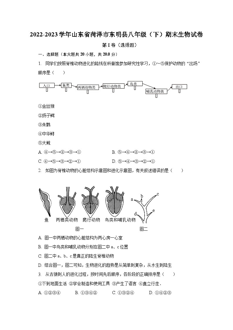 2022-2023学年山东省菏泽市东明县八年级（下）期末生物试卷（含解析）01