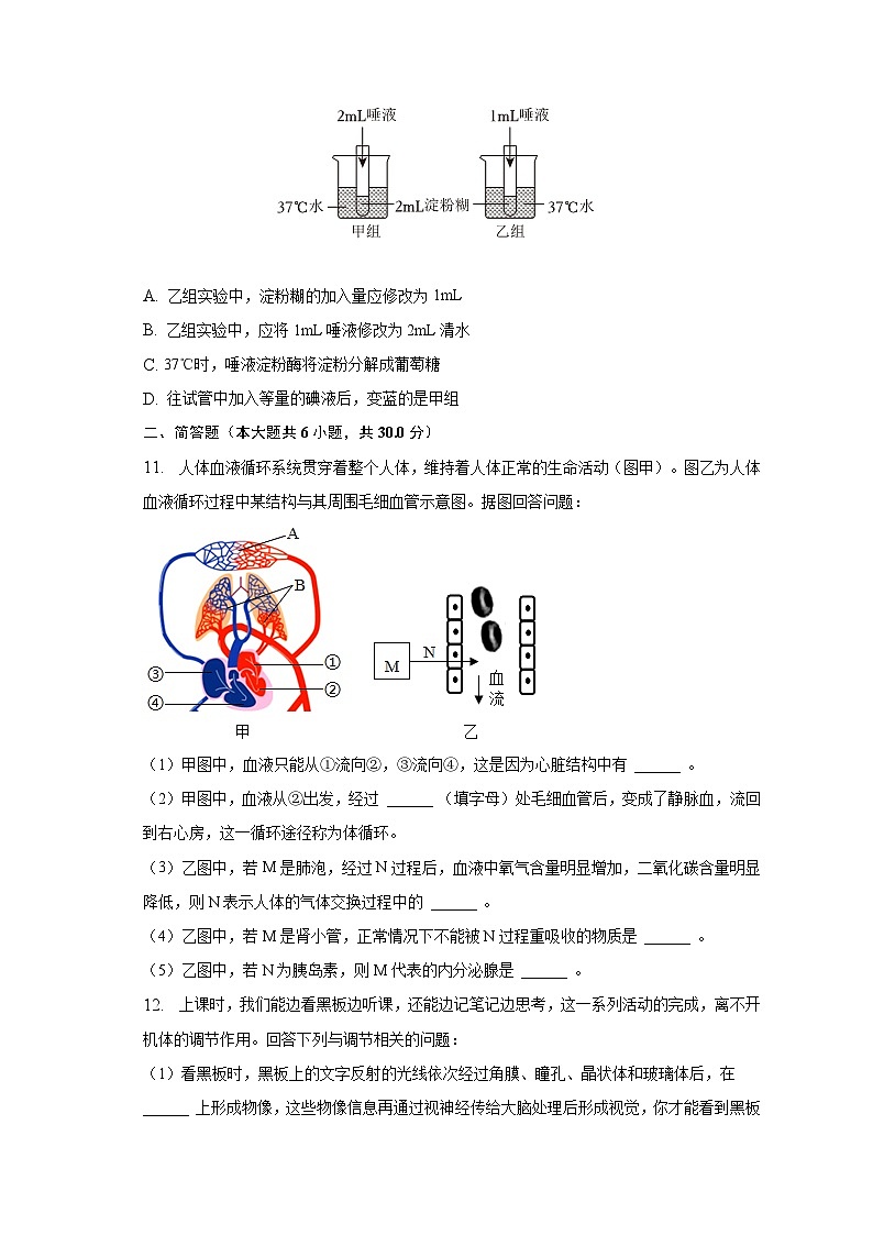2022-2023学年湖北省恩施州利川市七年级（下）期末生物试卷（含解析）第3页