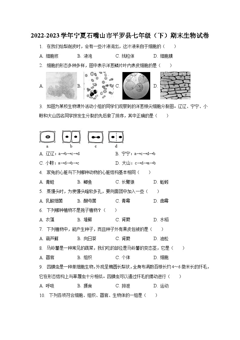 2022-2023学年宁夏石嘴山市平罗县七年级（下）期末生物试卷（含解析）第1页