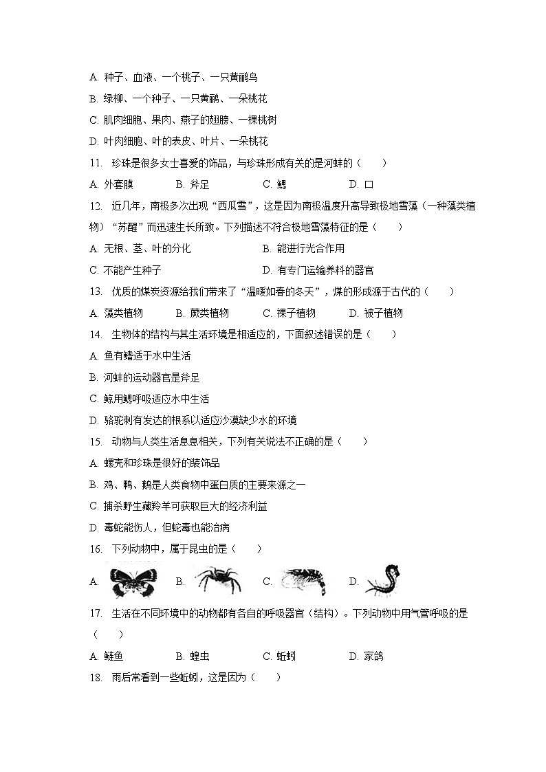 2022-2023学年宁夏石嘴山市平罗县七年级（下）期末生物试卷（含解析）第2页