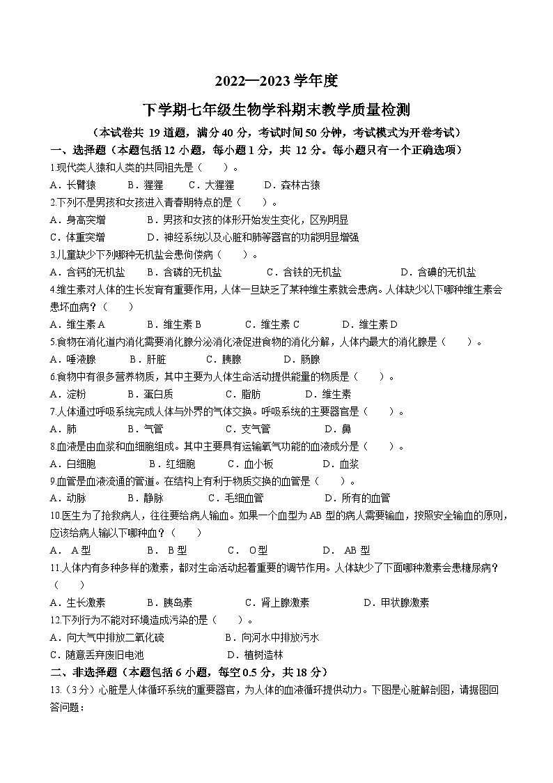 辽宁省营口市大石桥市2022-2023学年七年级下学期期末生物试题（含答案）01