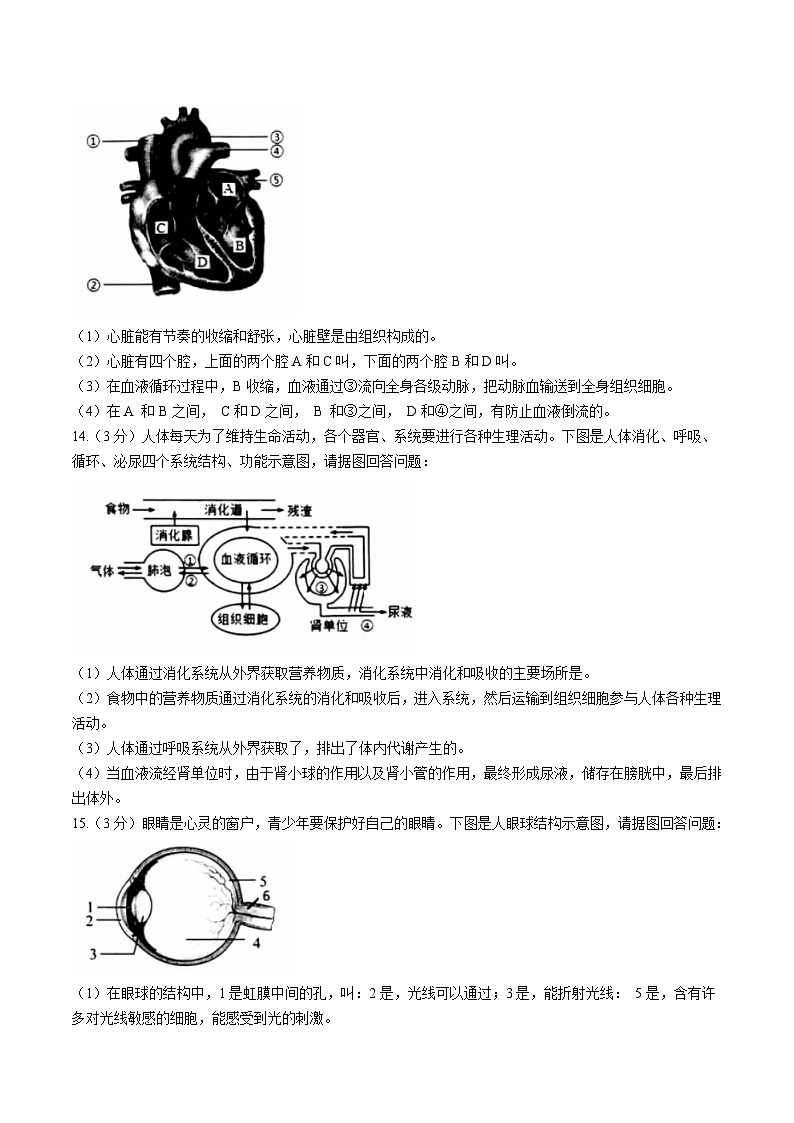 辽宁省营口市大石桥市2022-2023学年七年级下学期期末生物试题（含答案）02