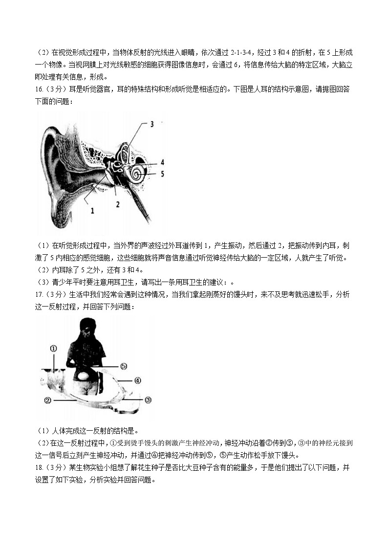 辽宁省营口市大石桥市2022-2023学年七年级下学期期末生物试题（含答案）03