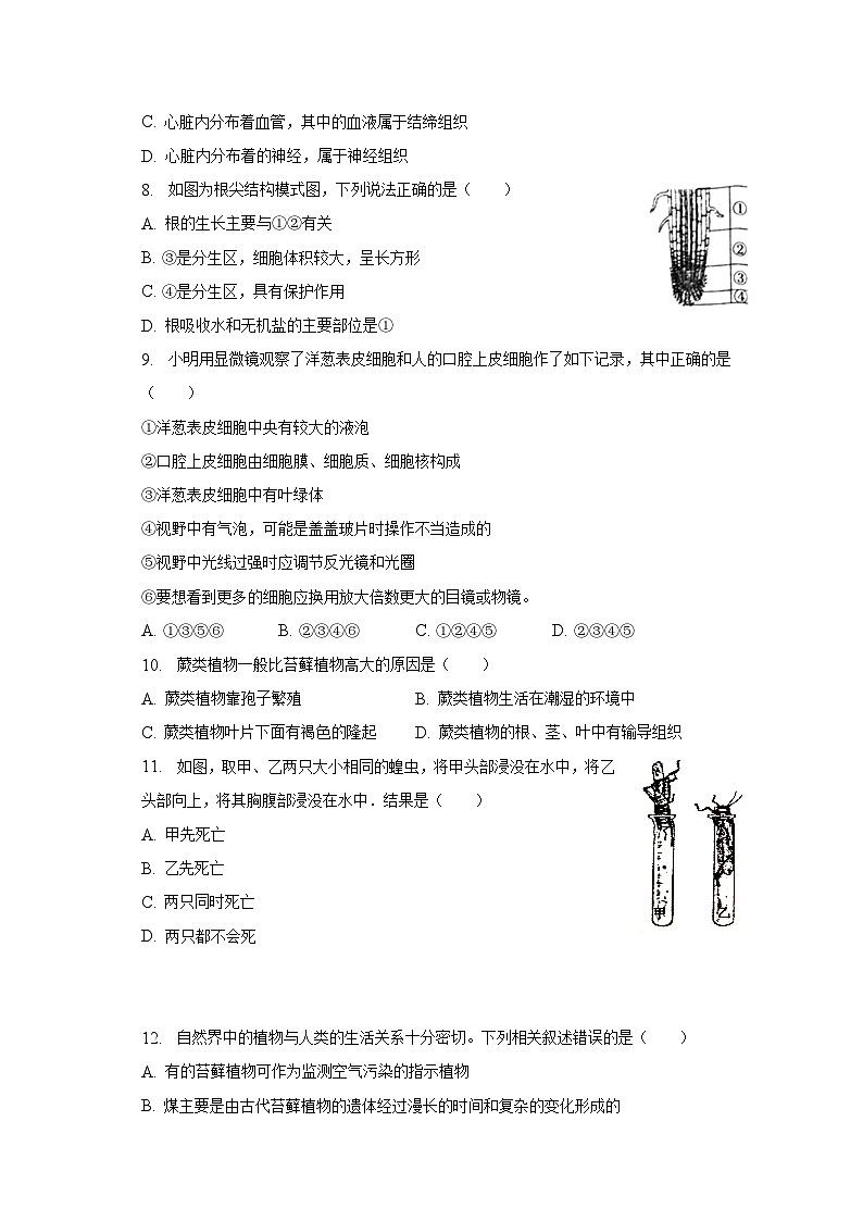 2022-2023学年江苏省宿迁市泗阳县七年级（下）期末生物试卷（含解析）第2页