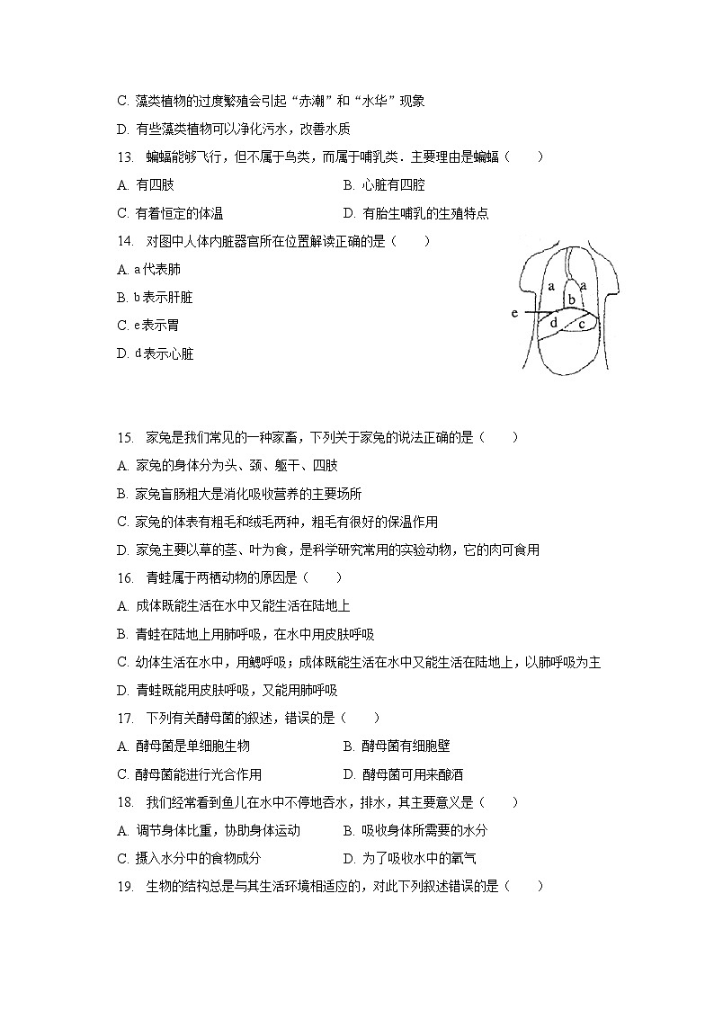 2022-2023学年江苏省宿迁市泗阳县七年级（下）期末生物试卷（含解析）第3页