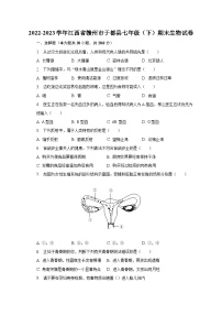 江西省赣州市于都县2022-2023学年七年级下学期期末生物试卷（含答案）