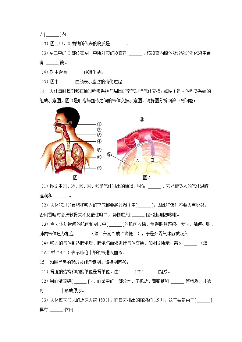 2022-2023学年辽宁省营口市大石桥二中七年级（下）期中生物试卷（含解析）第3页