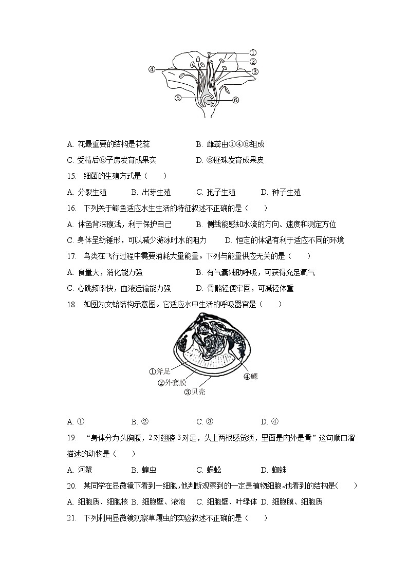 2022-2023学年江苏省泰州市姜堰区七年级（下）期末生物试卷（含解析）第3页