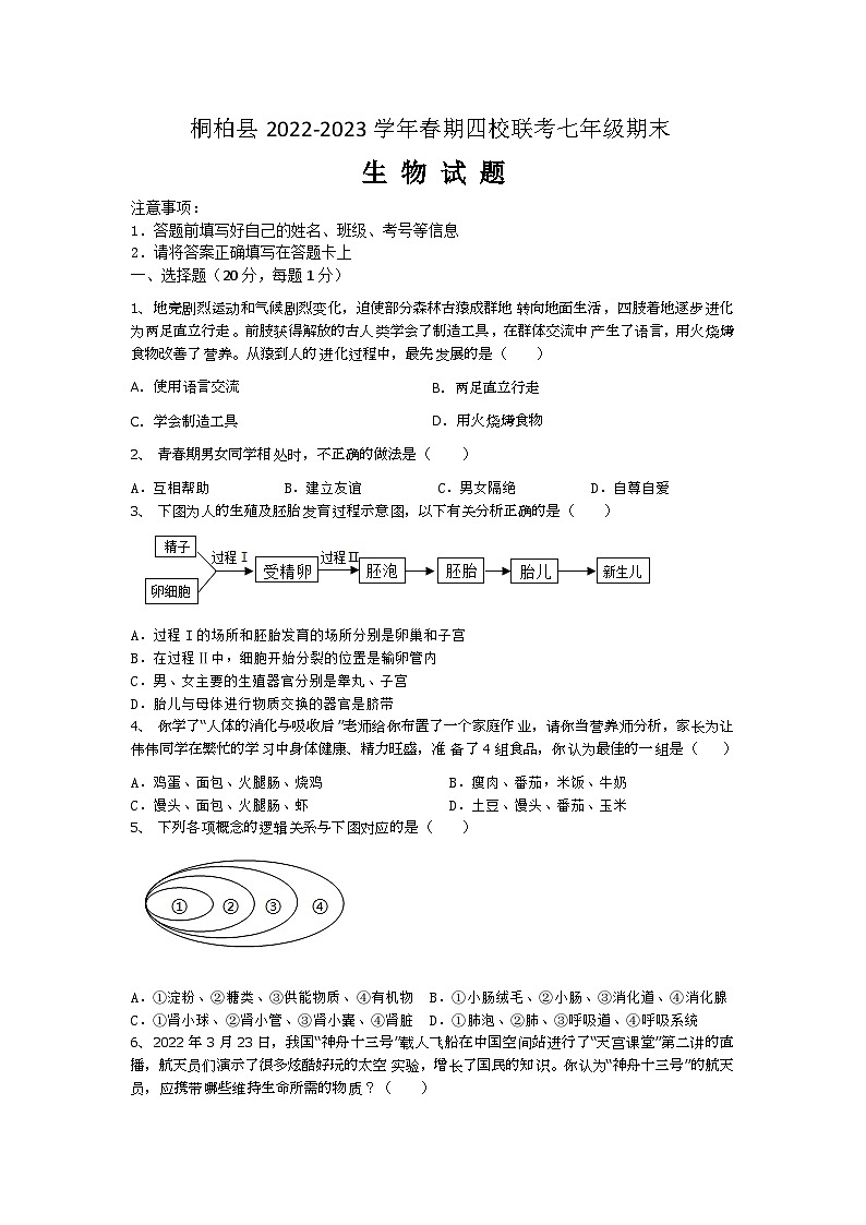 桐柏县2022-2023学年春期四校联考七年级期末考试生物试题第1页