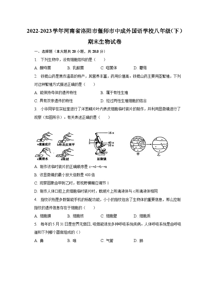 2022-2023学年河南省洛阳市偃师市中成外国语学校八年级（下）期末生物试卷（含解析）第1页