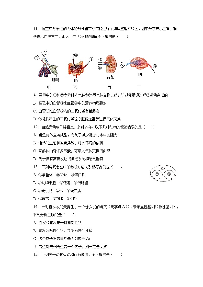 2022-2023学年河南省洛阳市偃师市中成外国语学校八年级（下）期末生物试卷（含解析）第3页