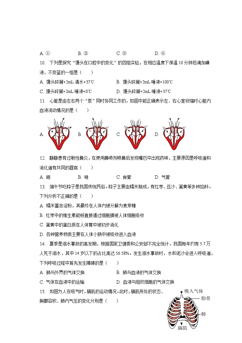 2022-2023学年陕西省安康市紫阳县七年级（下）期末生物试卷（含解析）第2页