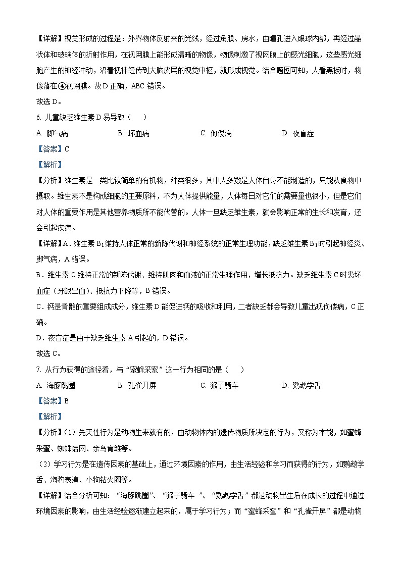 2023年福建省中考生物真题（含解析）第3页