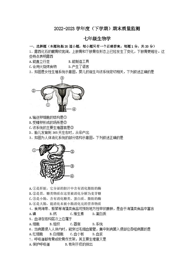 吉林省长春市朝阳区2022-2023学年七年级下学期期末考试生物试题01