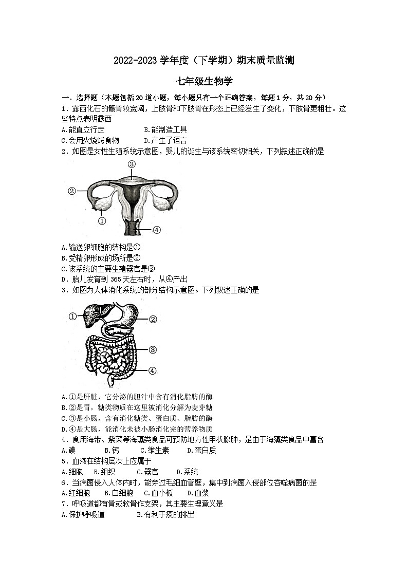 吉林省长春市朝阳区2022-2023学年七年级下学期期末考试生物试题（含答案）01