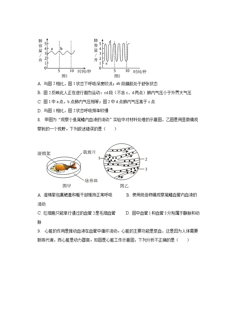 2022-2023学年山东省临沂市河东区七年级（下）期末生物试卷（含解析）03