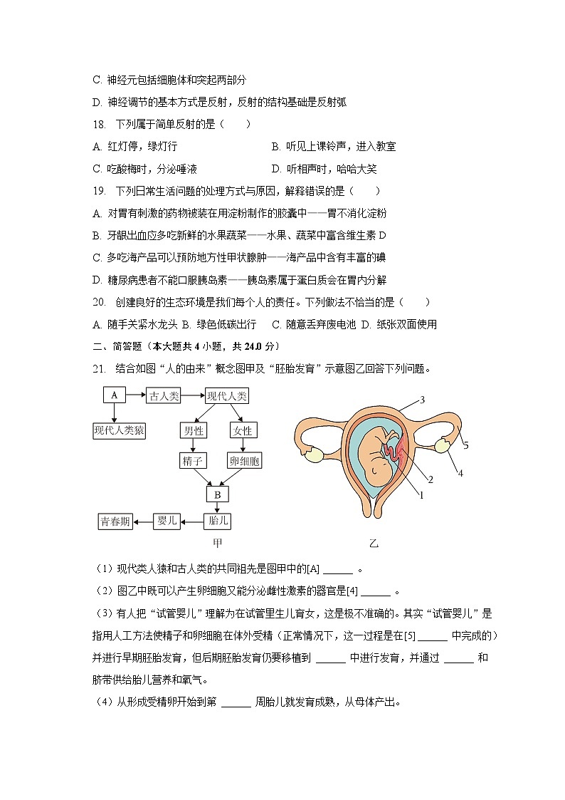 2022-2023学年河南省信阳市平桥区羊山中学七年级（下）期末生物试卷（含解析）第3页