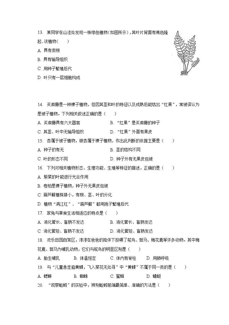 2022-2023学年江苏省泰州市泰兴市七年级（下）期末生物试卷（含解析）第3页