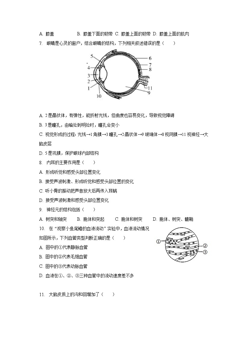 2022-2023学年山西省太原市七年级（下）期末生物模拟试卷（含解析）02