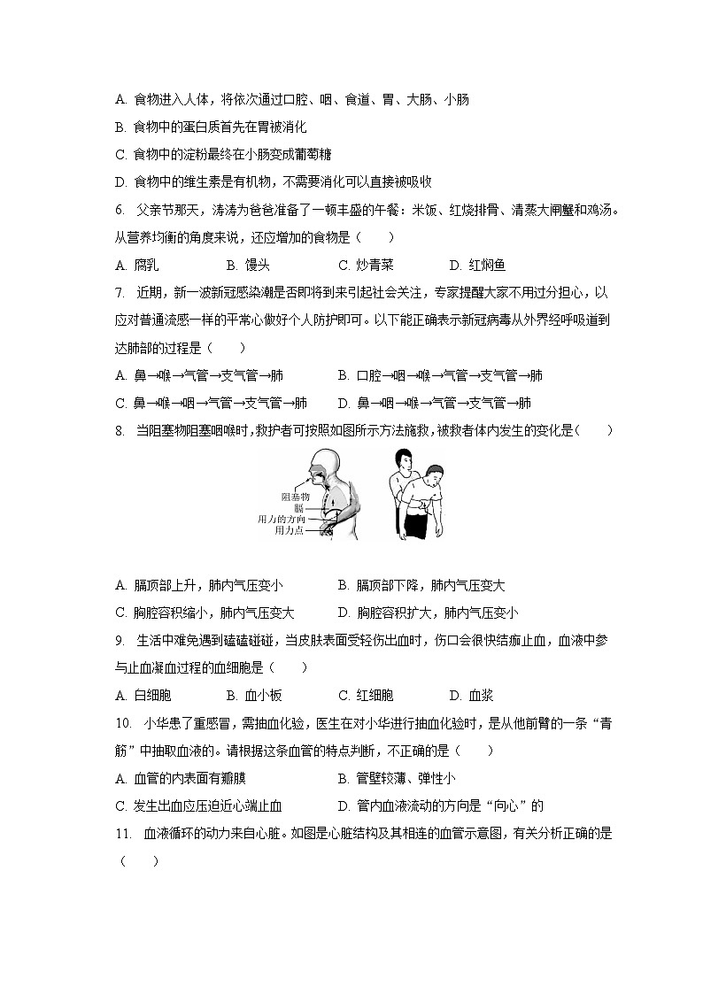 2022-2023学年河南省鹤壁市七年级（下）期末生物试卷（含解析）02