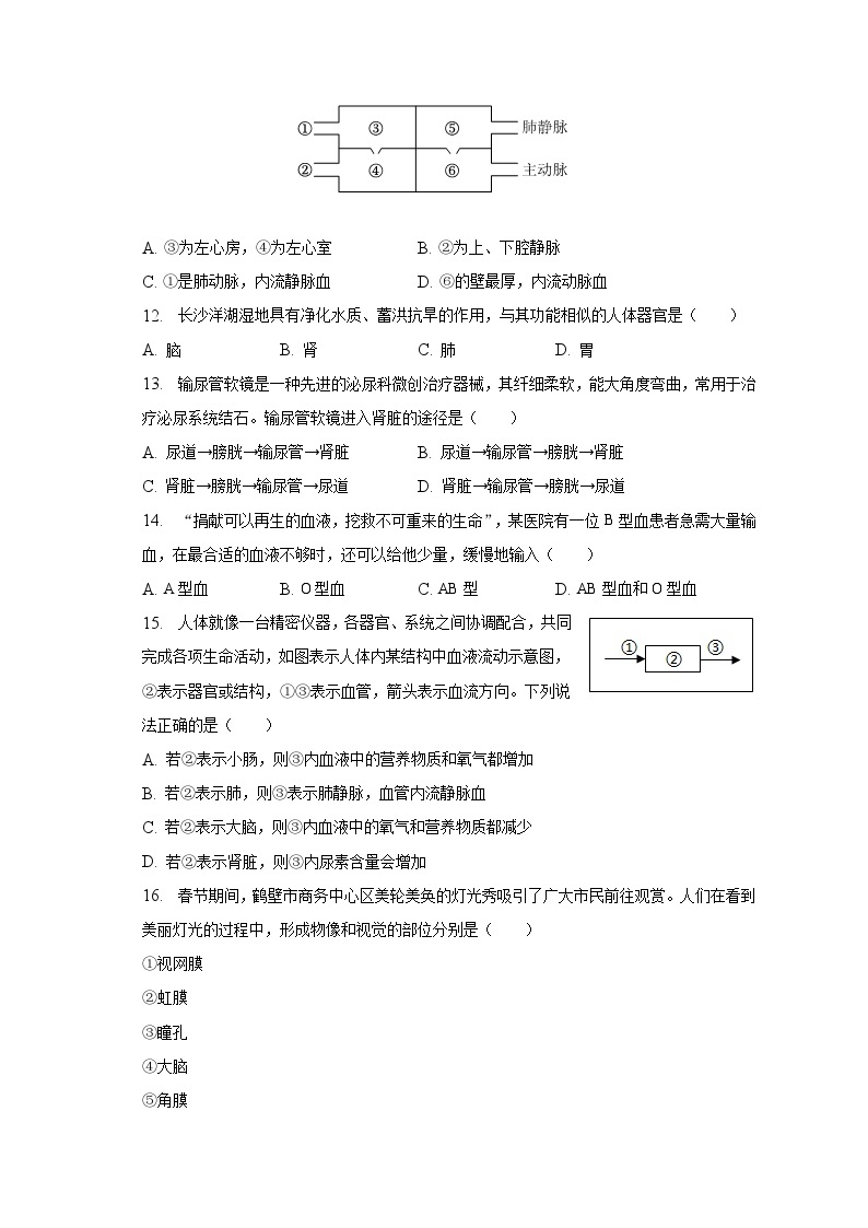 2022-2023学年河南省鹤壁市七年级（下）期末生物试卷（含解析）03