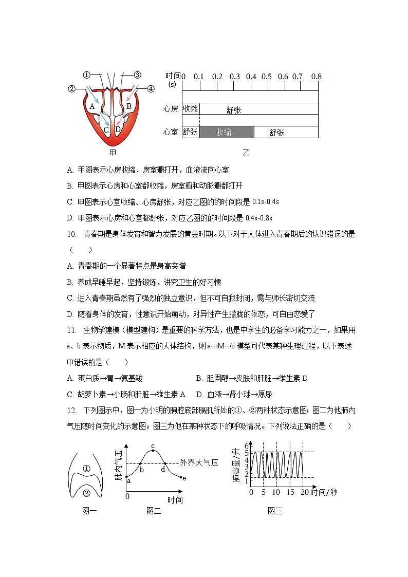 2022-2023学年湖南省湘潭市湘潭县七年级（下）期末生物试卷（含解析）第3页