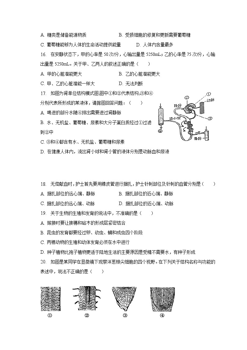 2023年山东省济南市中考生物模拟试卷（含解析）03