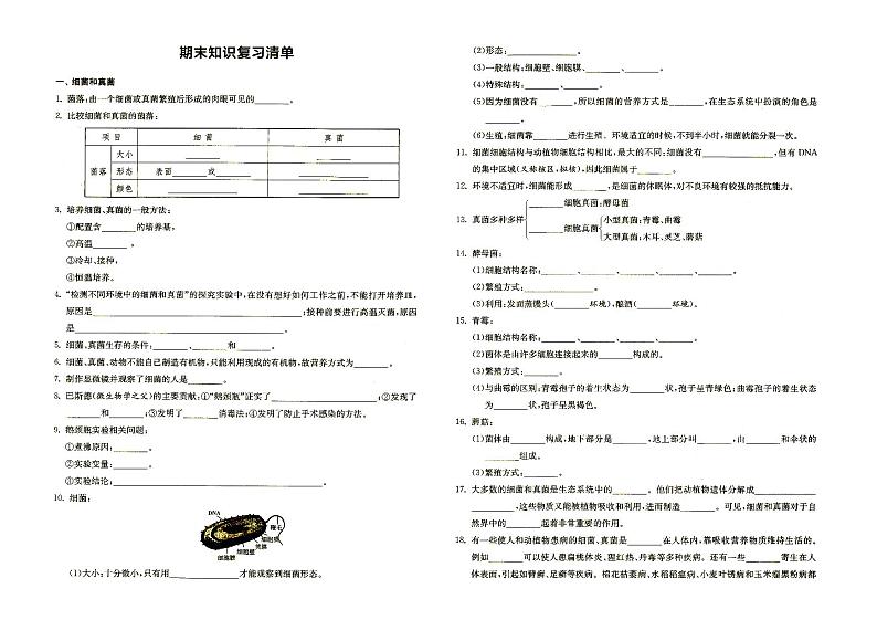 人教版八年级上册《生物》期末知识复习清单（含答案） 试卷01